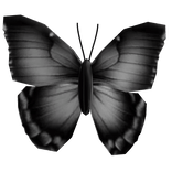Butterfly on Nose [Black]
