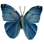 Butterfly on Nose [Blue]
