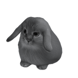 Cabbit
