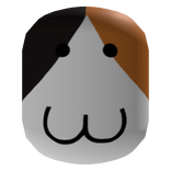 Calico Cat