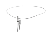 Calle chain