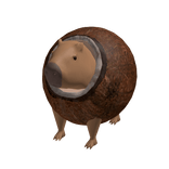 capybara