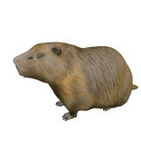 Capybara Left Shoulder Pet 