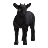 Carry a Goat Baby Black