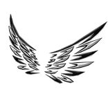 Cartoony Black and White Wings