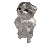 Cat aura farmer