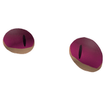 cat eyes