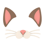 Cat Face Filter