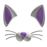 cat filter