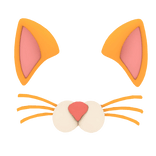 Cat Filter