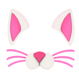 cat filter