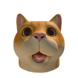 Cat Head 🔥