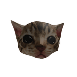 Cat Head 2.0