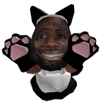  Cat Maid Lebron James