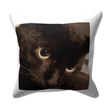 Cat Pillow