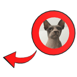 hairless cat (red circle) 