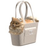 CC dog purse bag mcbling vintage 2000s creme white