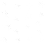 celebrity bling aura