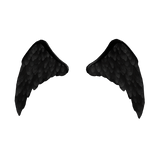 ✨ Celestia Black Wings