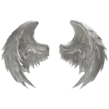 Celestial Angel Wings