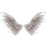 Celestial Angel Wings