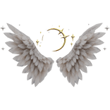Celestial Aura Wings