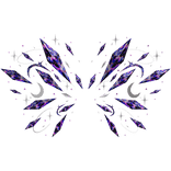 Celestial Crystal Wings