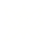 Celestial Seraph Halo Wings