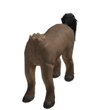 Centaur Horse Body (Brown)