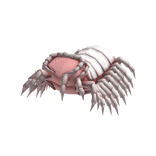 Centipede Body (White and Pink)