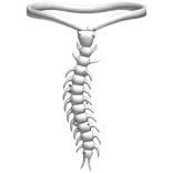 Centipede Tie W Piercings White