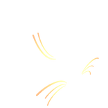 charlies antenne (hat edition)