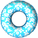 [CHEAP💵] Summer Floaty 3.0