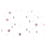 Cherry Blossom Aura