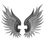 Cherubim’s Silvery Wings