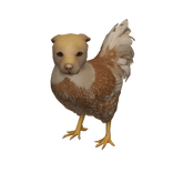 ✅ Chicken Dog