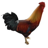 Chicken Fighting (Thai)