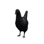 Chicken Suit