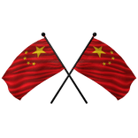 🇨🇳 China Shoulder Double Flag [Black Pole]