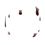 Chocolate Sweat Skin