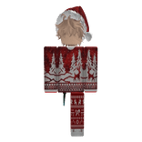 Christmas Boy Skin