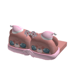 Christmas Santa Brown Pink Seal Slippers 1.0 🎄