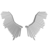 Chrome Wings