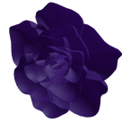 Chrono's Personal Pin