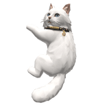 Clingy white Cat