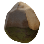 Coconut from Bali 🥥🇮🇩