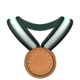 Coke 600 Bronze Medal