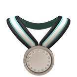 Coke 600 Silver Medal