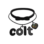 colt layered necklace ♡