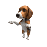 Cute Standing 🐕 Beagle Dog On Paws Shoulder Pal